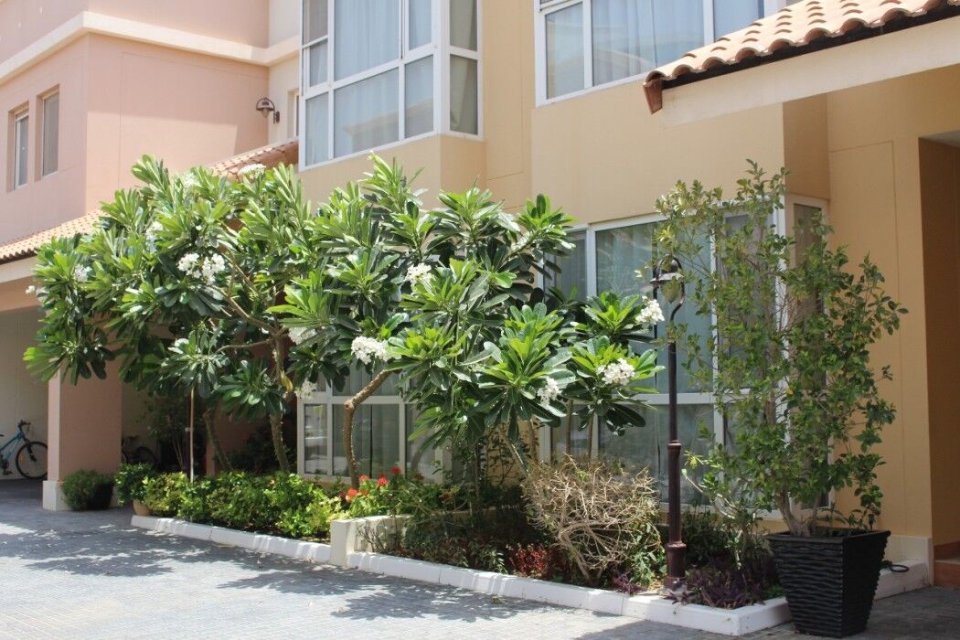 Barsha Gardens By J5 Holiday Homes 두바이 외부 사진